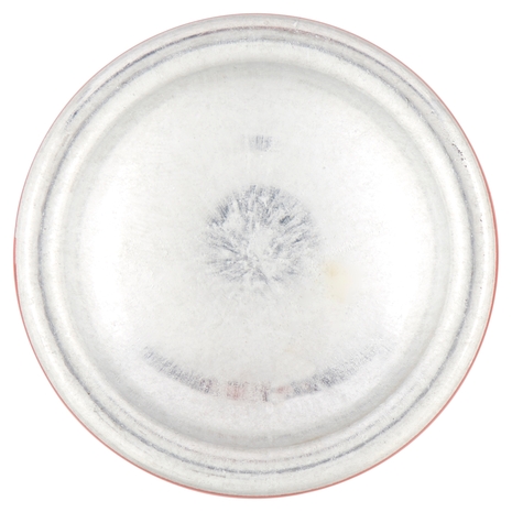 Bilba Spuma Cristalli Liquidi con Semi di Lino 200 ml